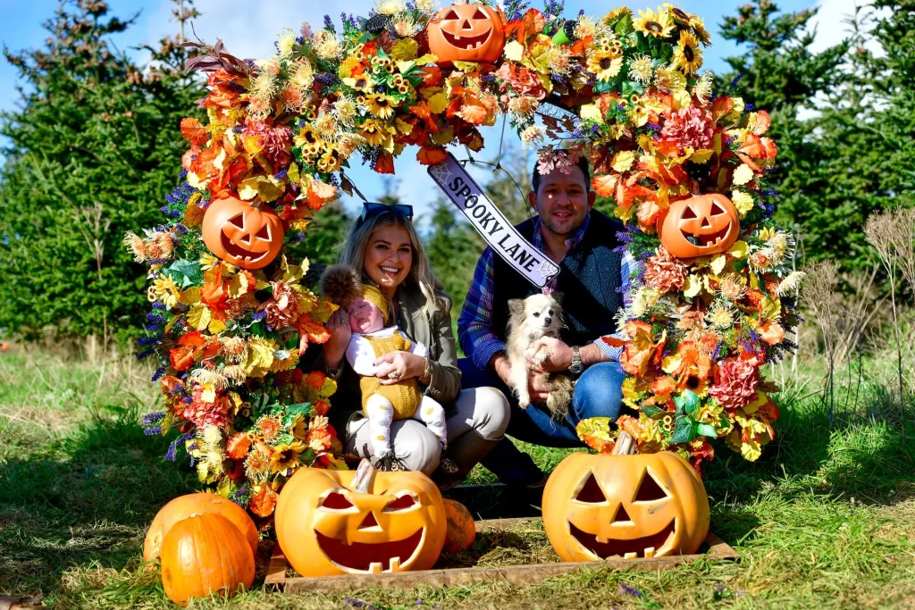 Gower Fresh Pumpkin Patch